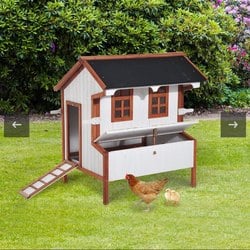 293047269 3147555262223047 5842139794226523444 n