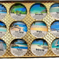 12 destination shower steamers