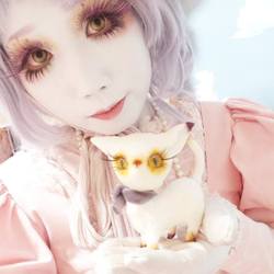 1510757 366190926875111 8331403498289521788 n