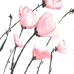 Transparent pink flowers