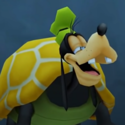 Goofy turtle
