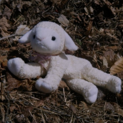 Screenshot 2024 11 09 145617