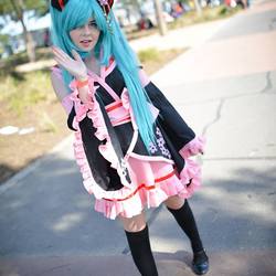 10155240 684025244990978 7258810797898596784 n