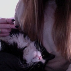 Hard of hearing grandpas