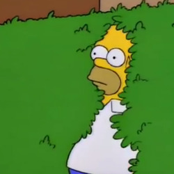 Homer bushes