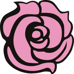 Rhyaniwyn seals spinner fullsize