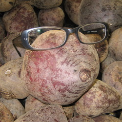 That beet's as big as your head