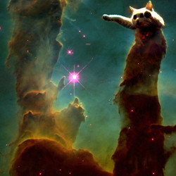 Tumblr ll4jt9jqhc1qbczgfo1 500