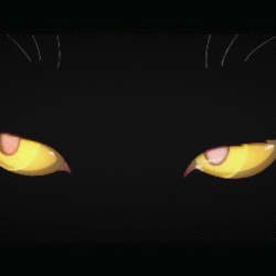 Cats eye reference gif