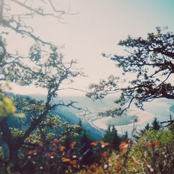 Tumblr n5awt85vr71rxckzmo5 500