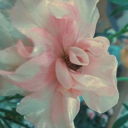 Tumblr o4k9x3in0t1qf8em3o3 1280