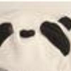 T1focrxovbxxbr5q3w 024400 medium